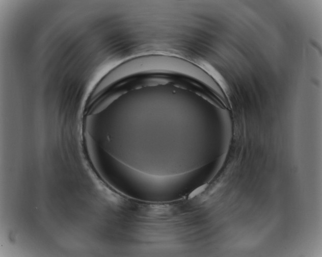 X0000091501144200708231439