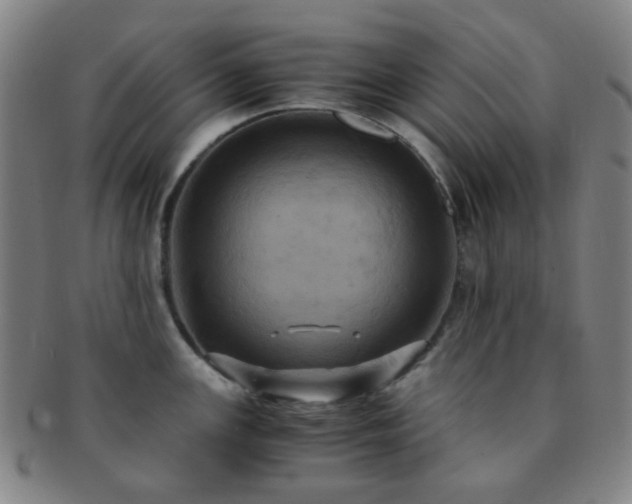 X0000091501147200708231439
