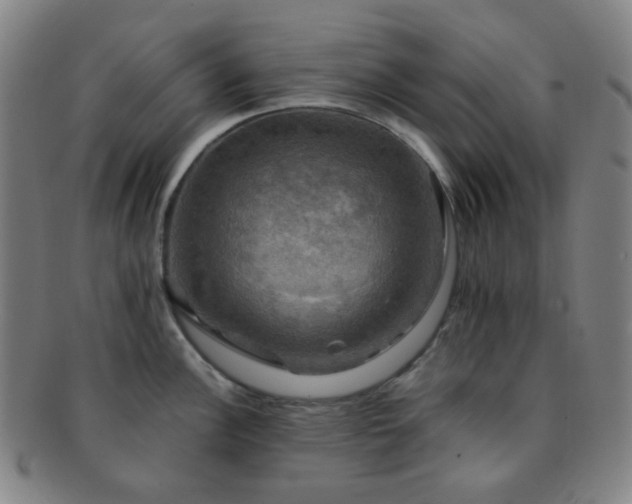 X0000091501148200708231439