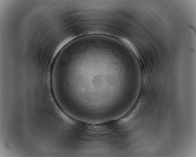 X0000091501149200708231439