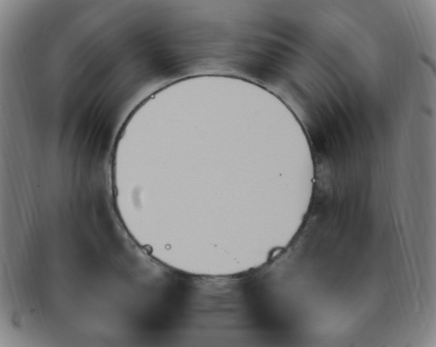 X0000091501150200708231439