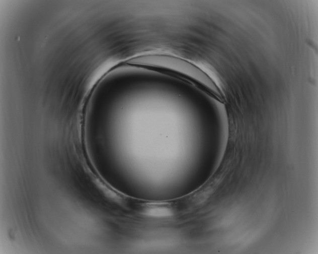 X0000091501151200708231439