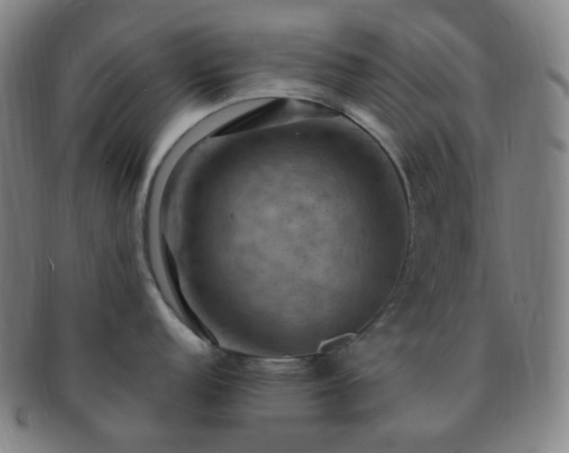 X0000091501152200708231439
