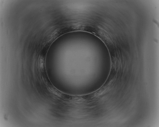 X0000091501154200708231438