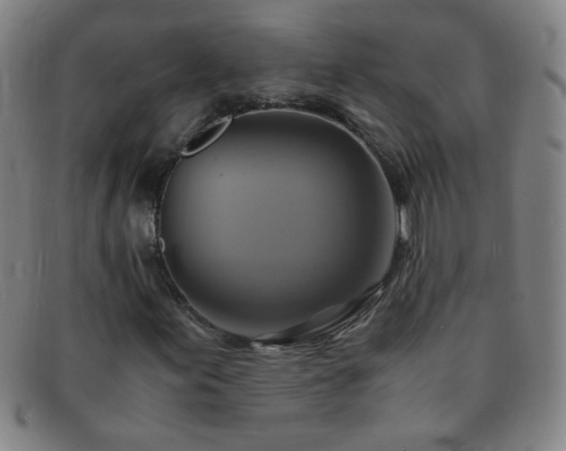 X0000091501155200708231438