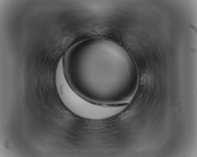 X0000091501156200708231438