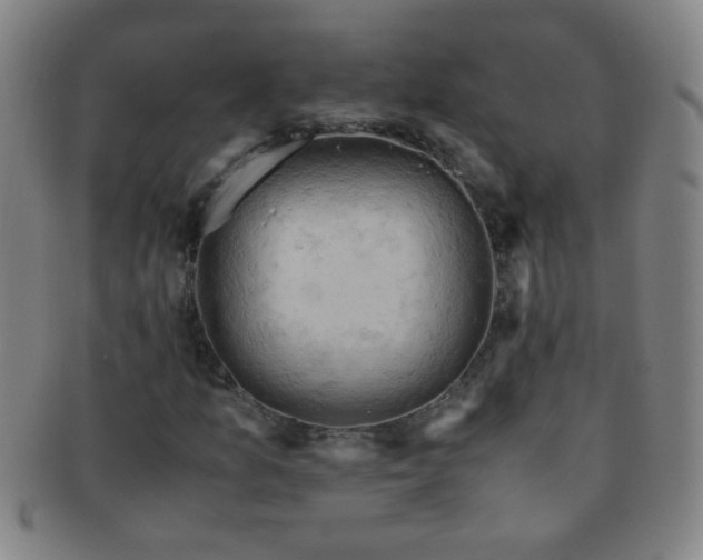 X0000091501157200708231438