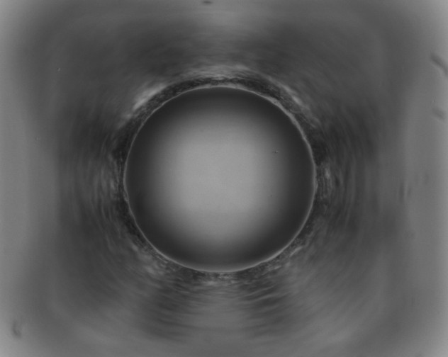 X0000091501158200708231438