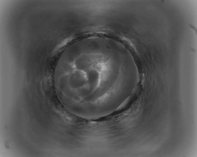X0000091501159200708231438