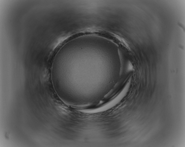 X0000091501160200708231438