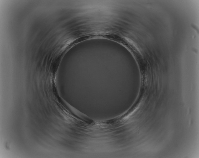 X0000091501161200708231438