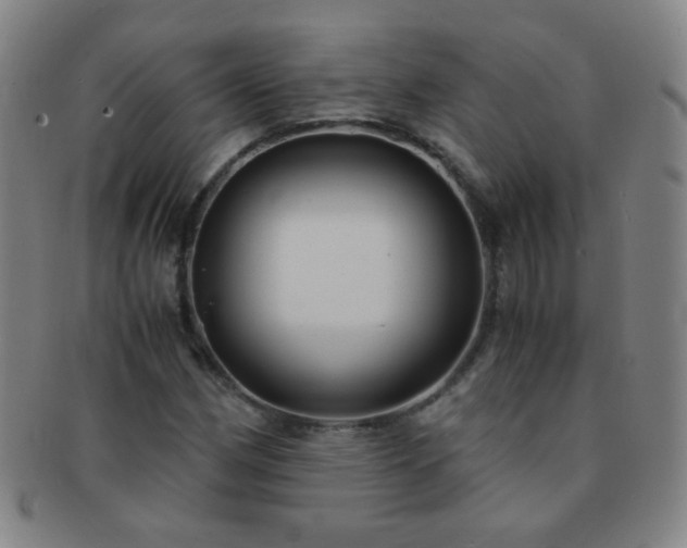 X0000091501162200708231438