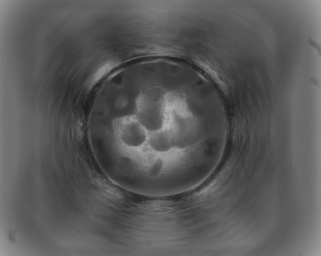 X0000091501163200708231438
