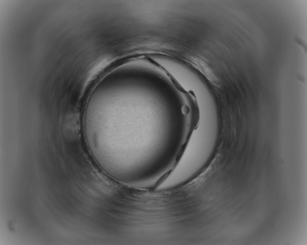 X0000091501164200708231438