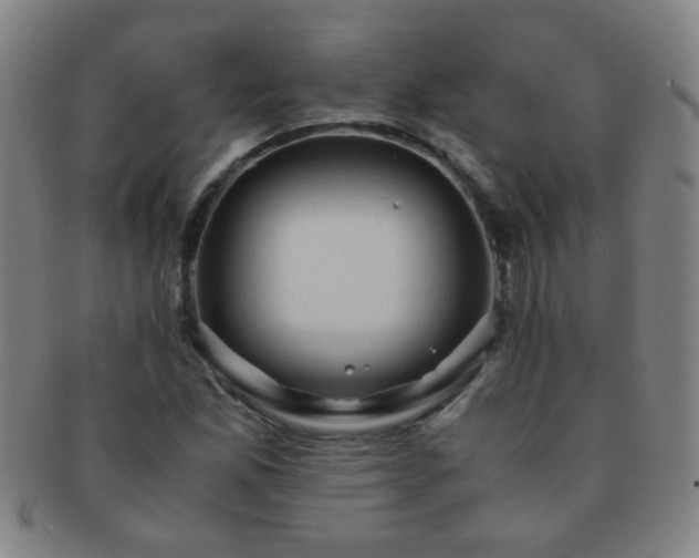 X0000091501165200708231438