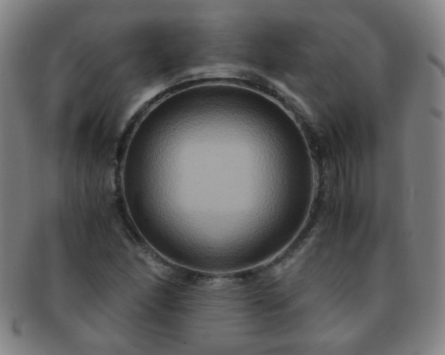 X0000091501166200708231438
