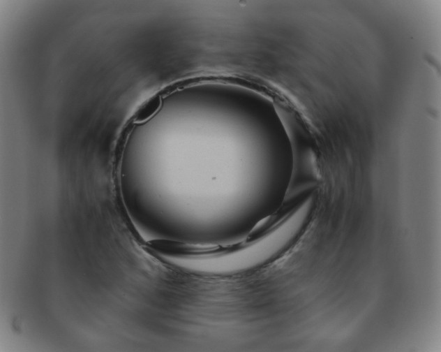 X0000091501168200708231438