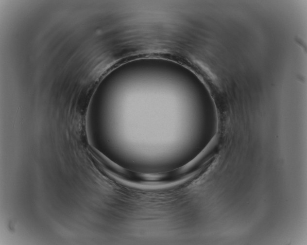 X0000091501169200708231438