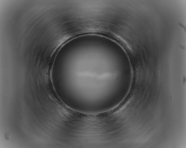 X0000091501170200708231438