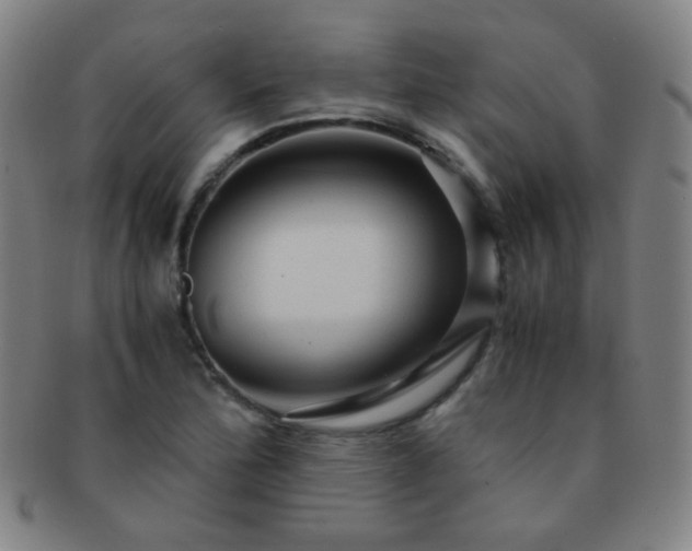 X0000091501172200708231438