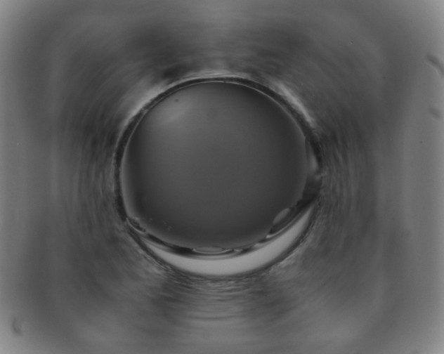 X0000091501173200708231438