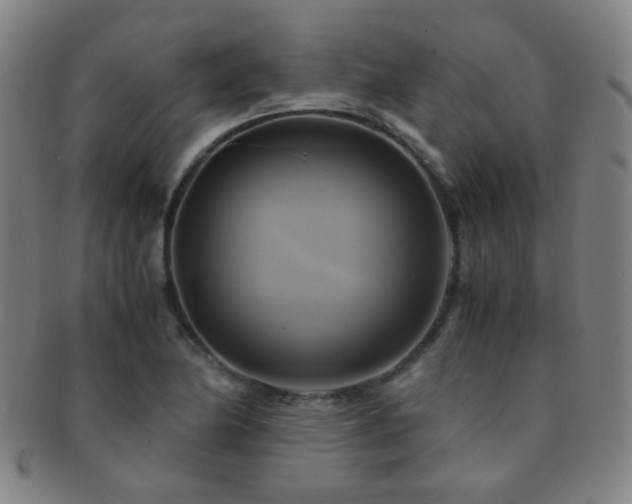 X0000091501174200708231438