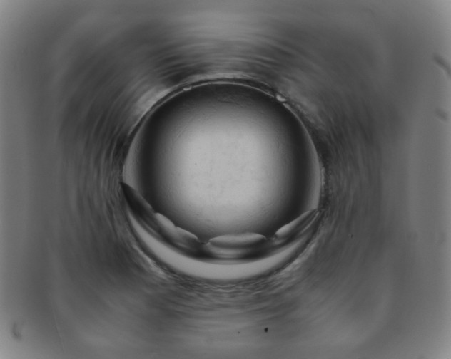 X0000091501177200708231438
