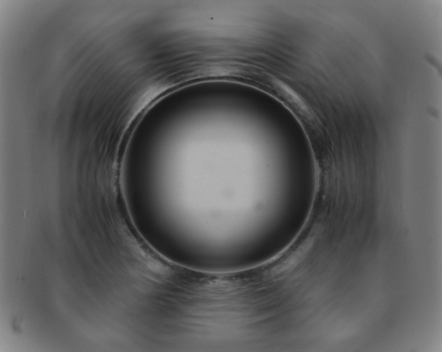 X0000091501178200708231438