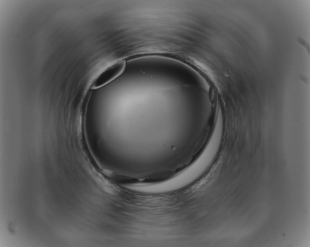 X0000091501179200708231438