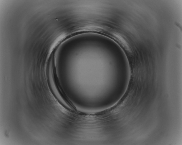 X0000091501180200708231438