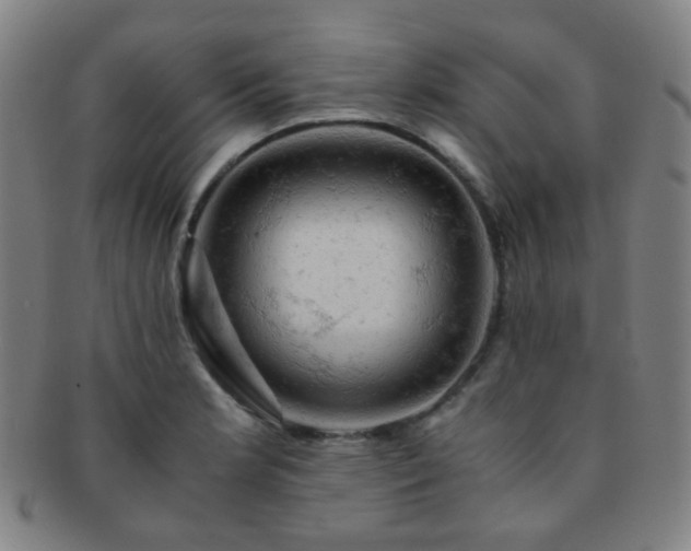 X0000091501181200708231438