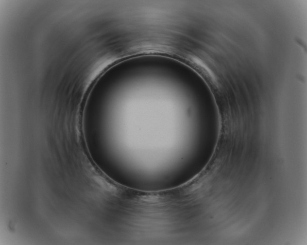X0000091501182200708231438