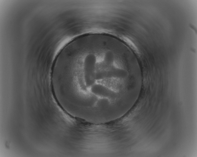 X0000091501183200708231438