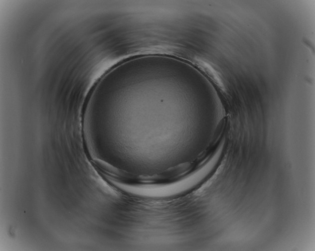 X0000091501184200708231438