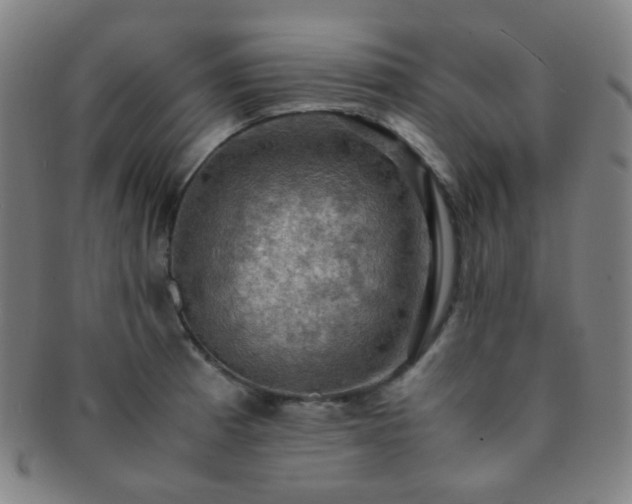 X0000091501185200708231438