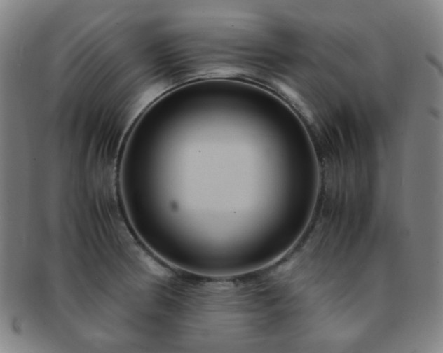 X0000091501186200708231438