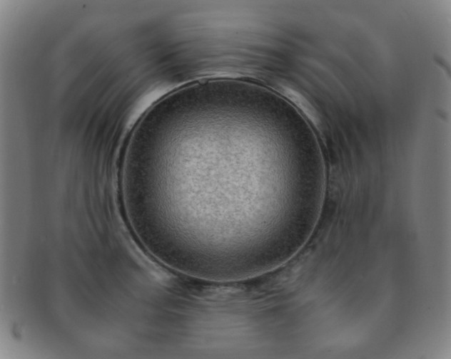 X0000091501187200708231438