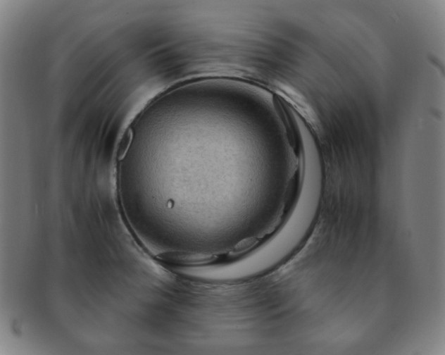 X0000091501188200708231437