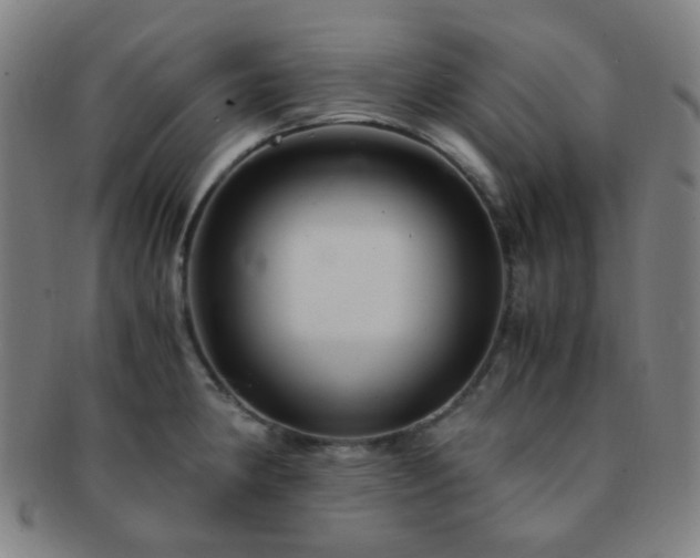 X0000091501190200708231437