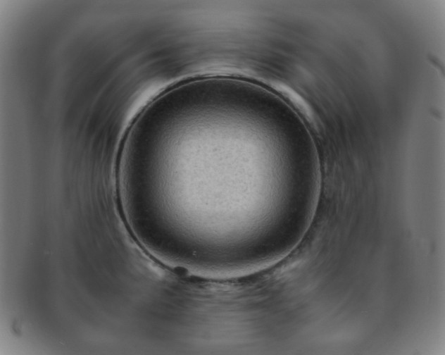 X0000091501191200708231437