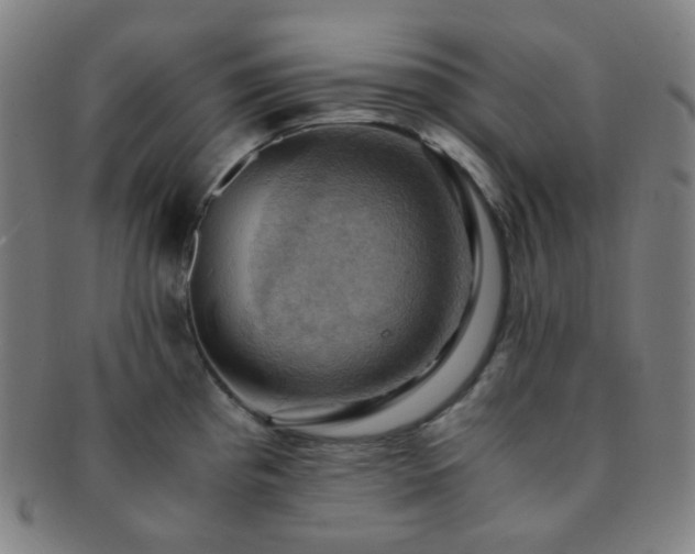 X0000091501193200708231437
