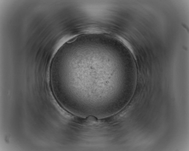 X0000091501195200708231437