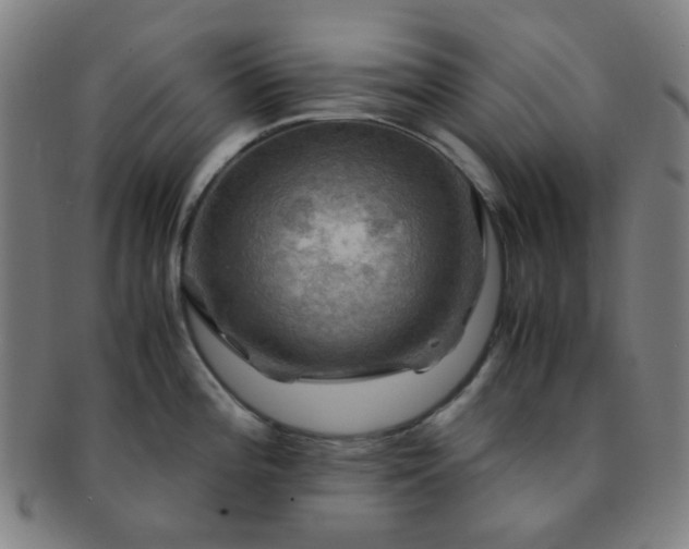 X0000091501196200708231437