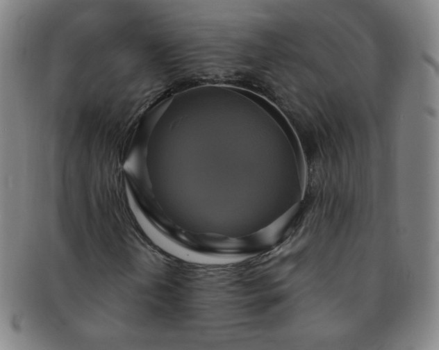 X0000091501202200708231437