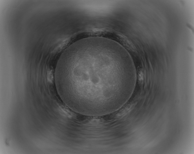 X0000091501204200708231437
