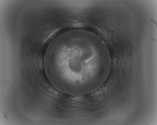 X0000091501205200708231437