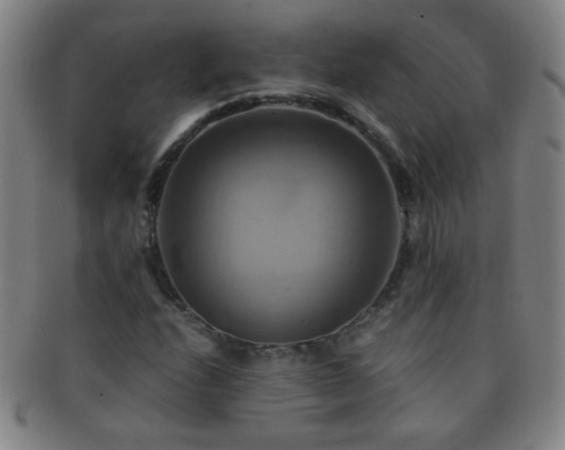 X0000091501208200708231437
