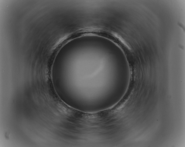 X0000091501213200708231437