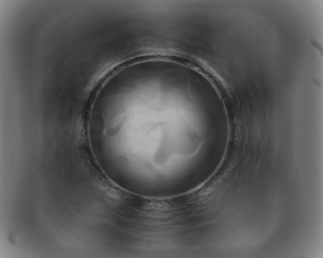 X0000091501215200708231437