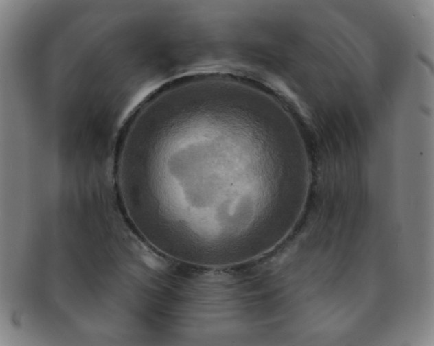 X0000091501216200708231437